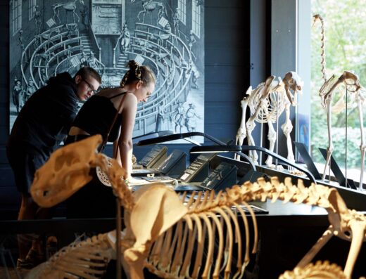 Kulturama Museum