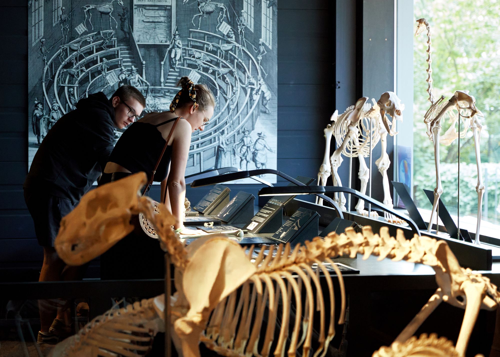 Kulturama Museum